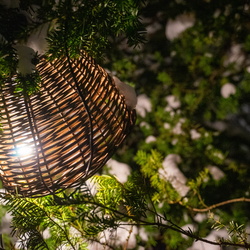 Garden of Light 2022