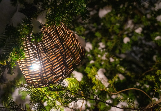 Garden of Light 2022